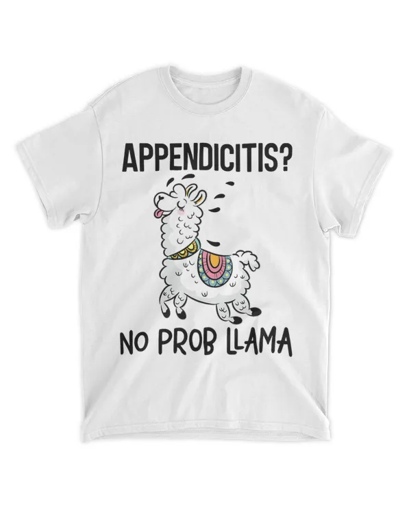 Appendicitis No Prob Llama Funny Appendix Surgery 21