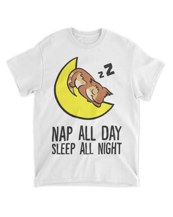 Tired Nap All Day Sleep All Night Cute Crested Gecko