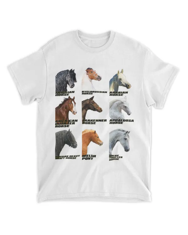 Horse Breeds Equestrian Horseback Riding
