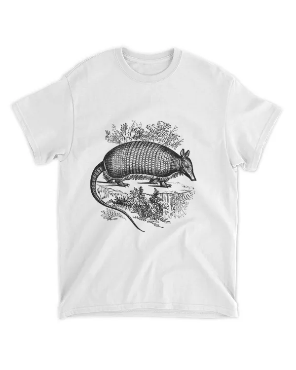 Desert Armadillo Print 22