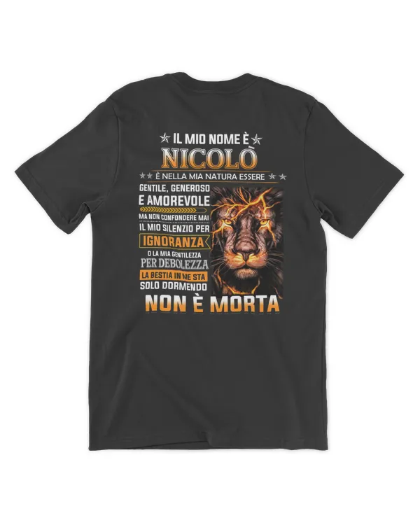 Unisex Premium T-Shirt