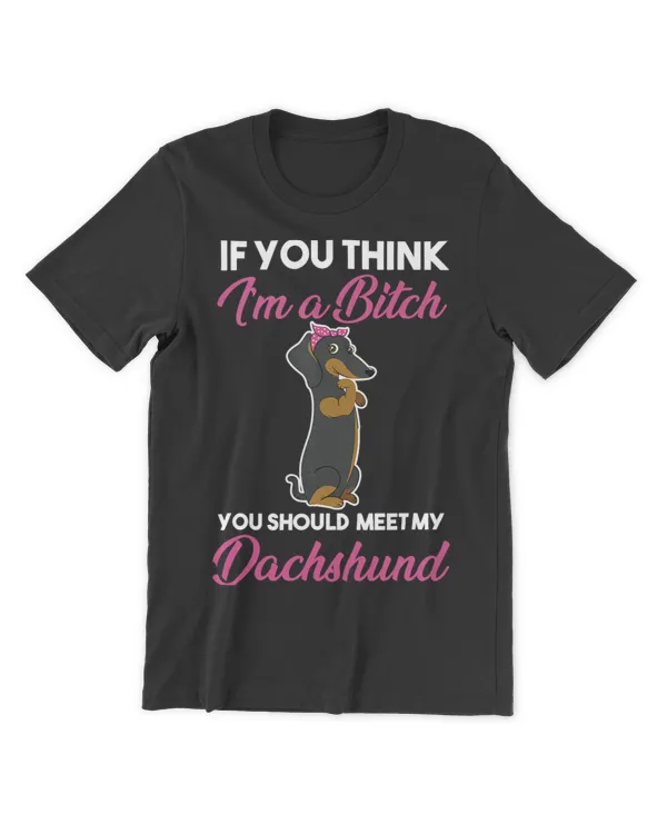 Men's Premium Tshirt