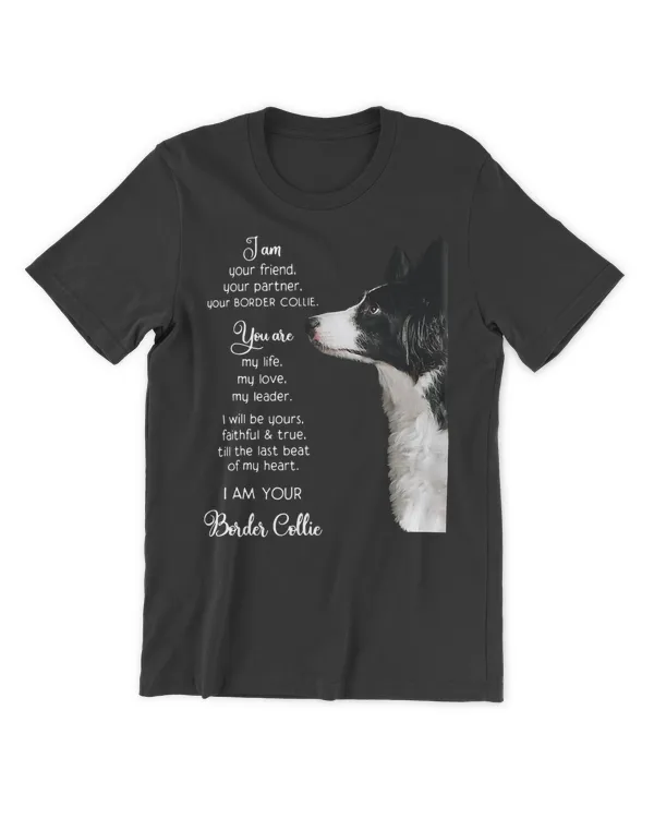 Men's Premium Tshirt