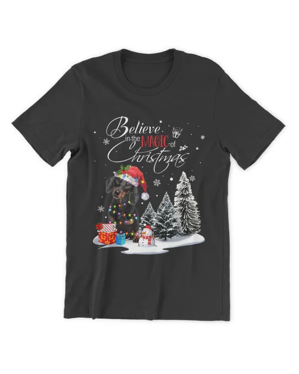 Men's Premium Tshirt
