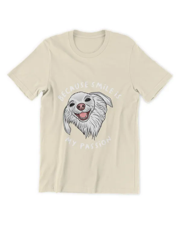 Men's Premium Tshirt