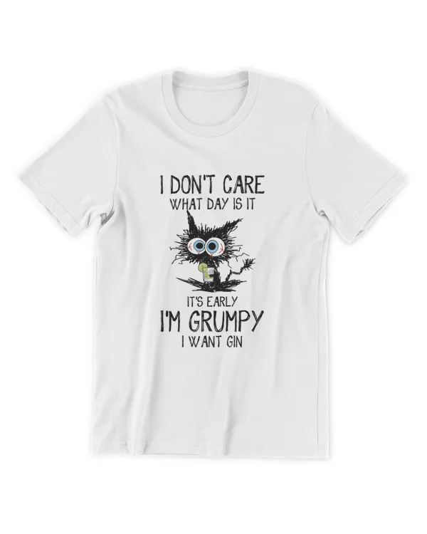 Men's Premium Tshirt