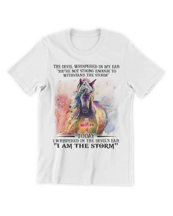 Men's Premium Tshirt