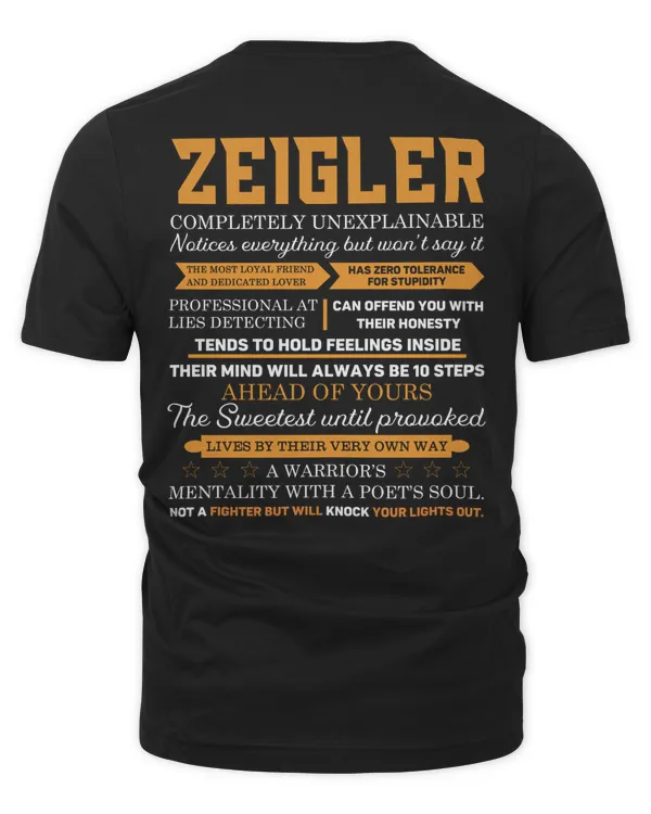 Men's Premium Tshirt