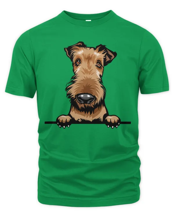 Men's Premium Tshirt