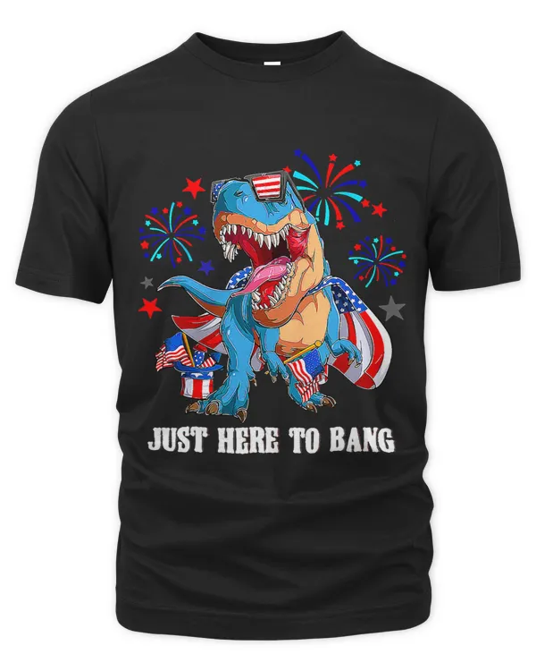 Funny Just Here To Bang Fireworks Patriotic 4th Of July