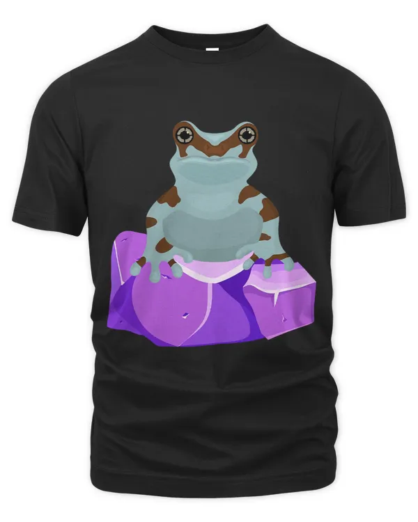 Frog Crystal Amethyst Gemstone for Toad Owners
