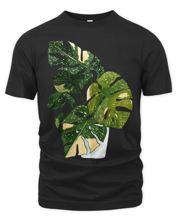 Variegated Monstera Deliciosa Variegata House Plant Ear 1