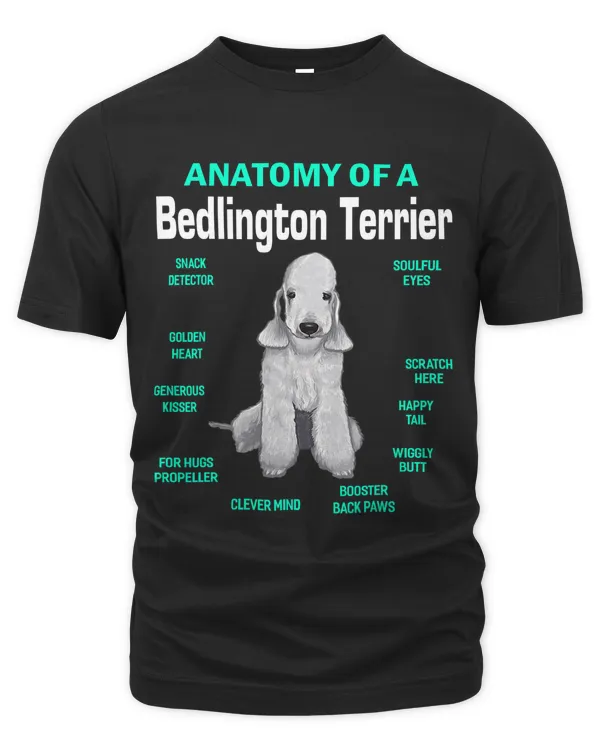 Men's Premium Tshirt