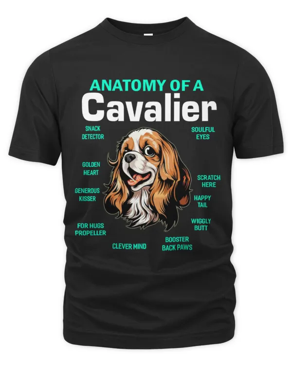 Men's Premium Tshirt