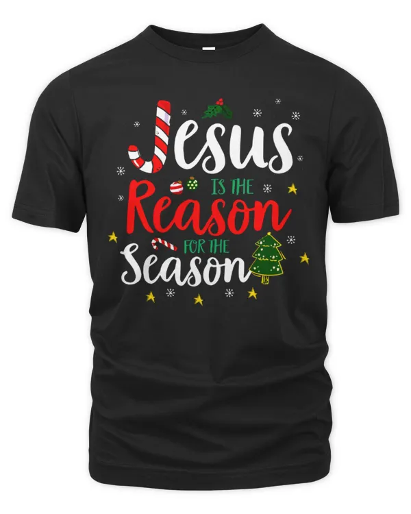 Men's Premium Tshirt
