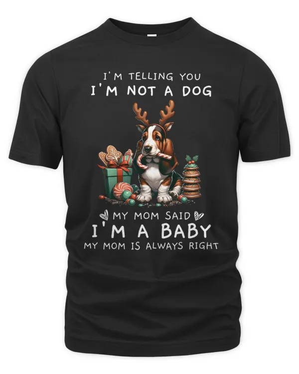 Men's Premium Tshirt