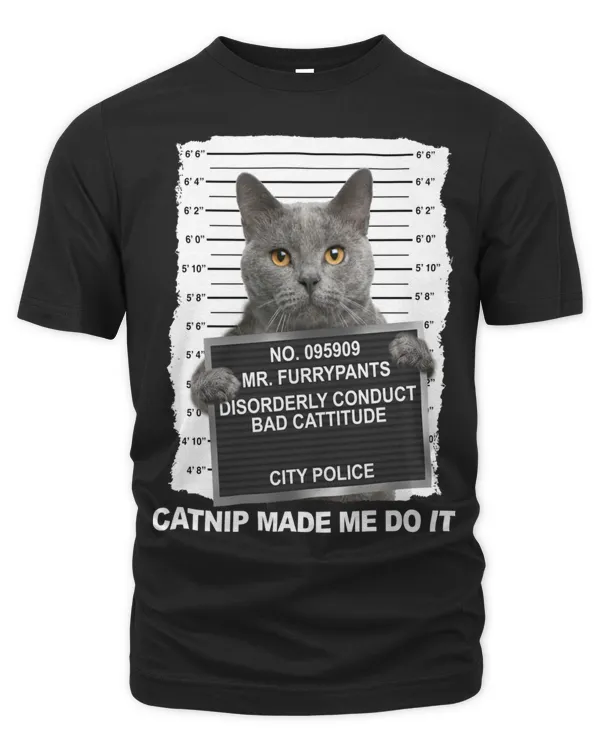Men's Premium Tshirt