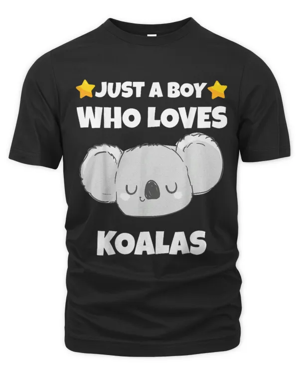 Koala Pet Sarcastic Just A boy Who Loves Koalas Meme Addict Lover 6