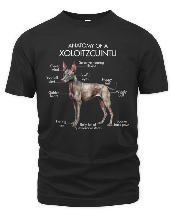 Men's Premium Tshirt