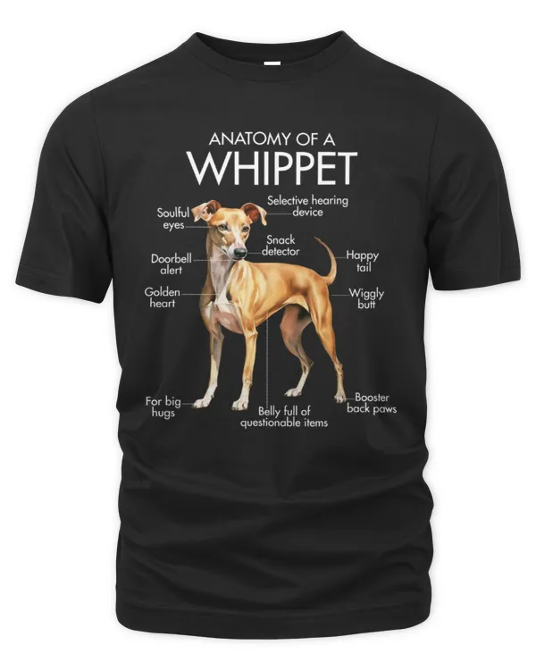 Men's Premium Tshirt