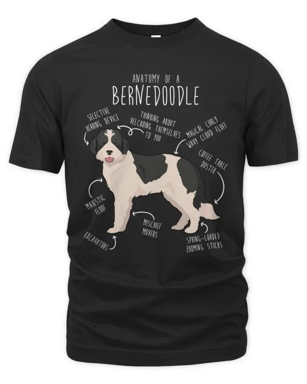 Men's Premium Tshirt