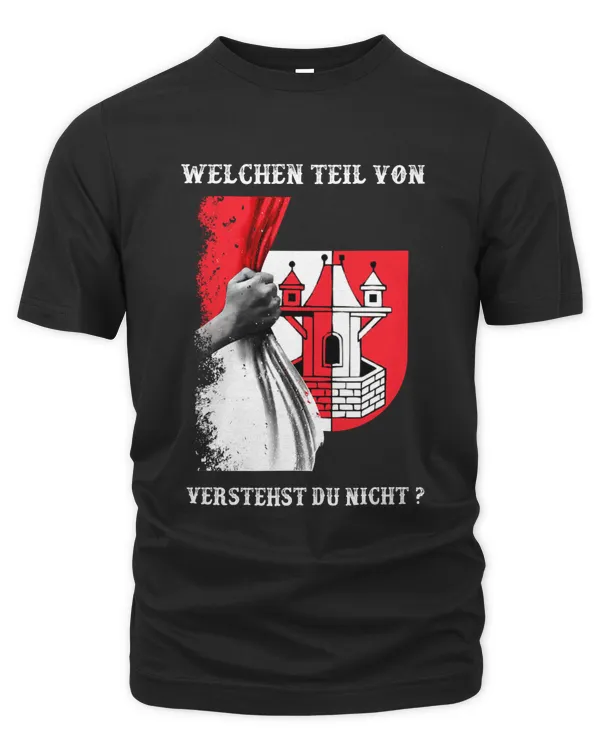 Men's Premium Tshirt