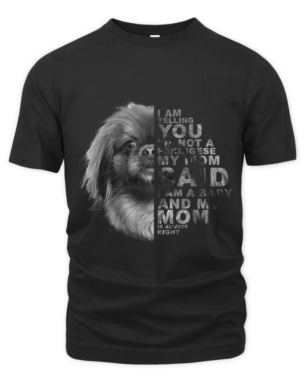 Unisex Premium T-Shirt