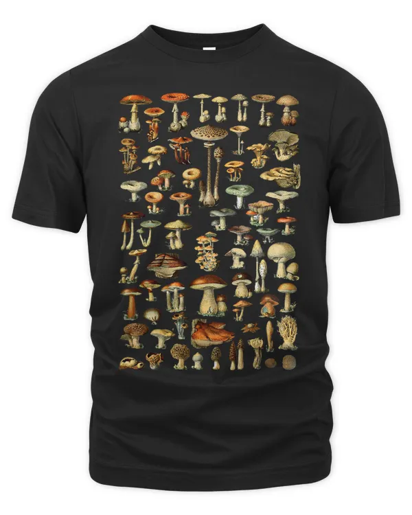 Ultimate Guide To Mushrooms Fungi Foraging Mycology Vintage
