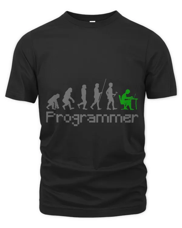 Development of the programmer IT