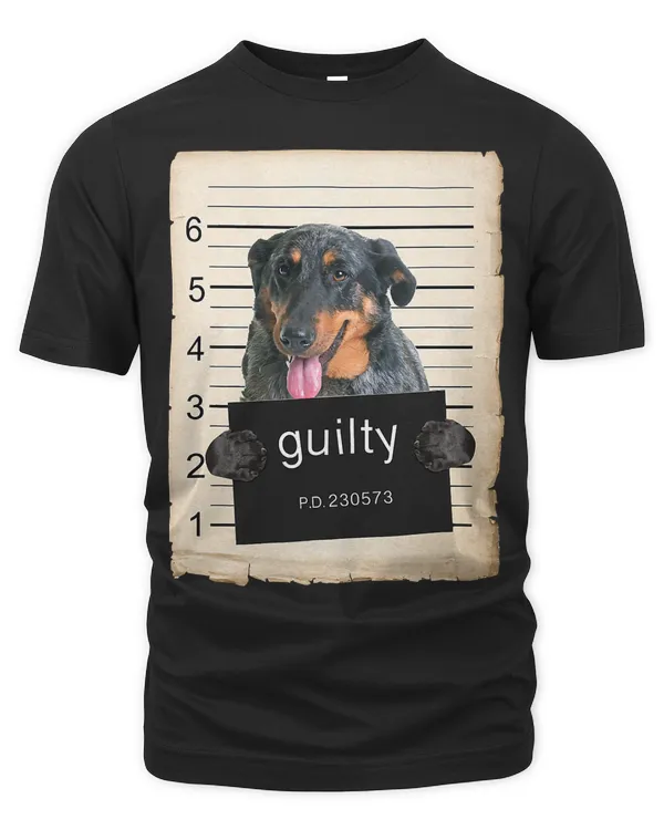 Men's Premium Tshirt