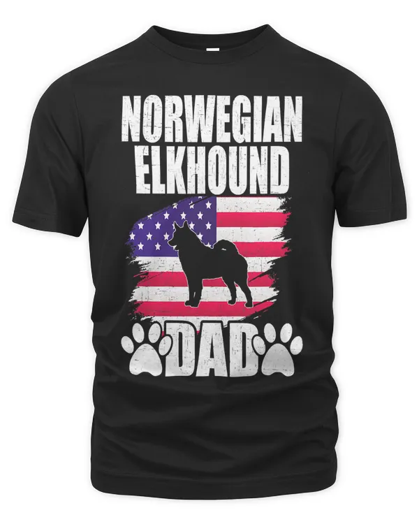Men's Premium Tshirt