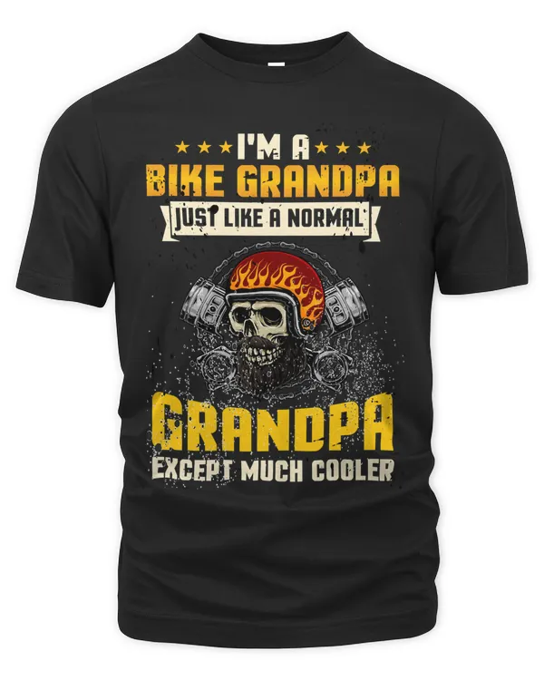 Men's Premium Tshirt