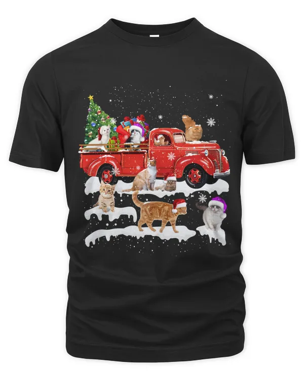 Men's Premium Tshirt