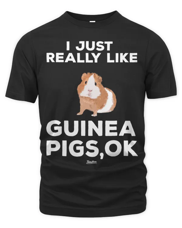 Men's Premium Tshirt