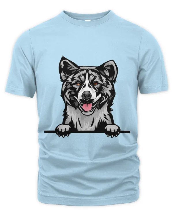 Men's Premium Tshirt