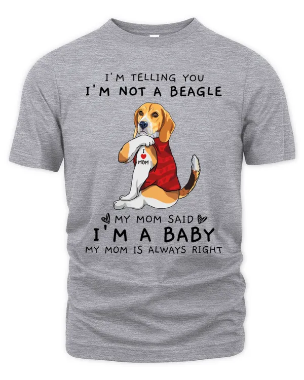 Men's Premium Tshirt