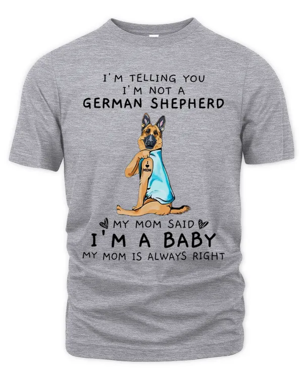 Men's Premium Tshirt