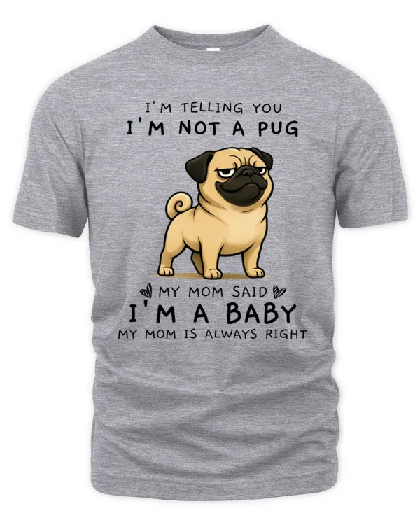 Men's Premium Tshirt
