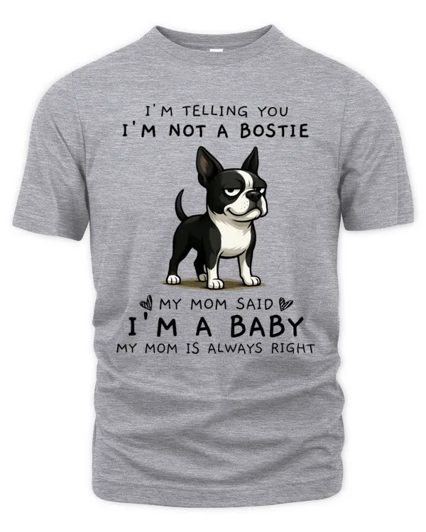 Men's Premium Tshirt
