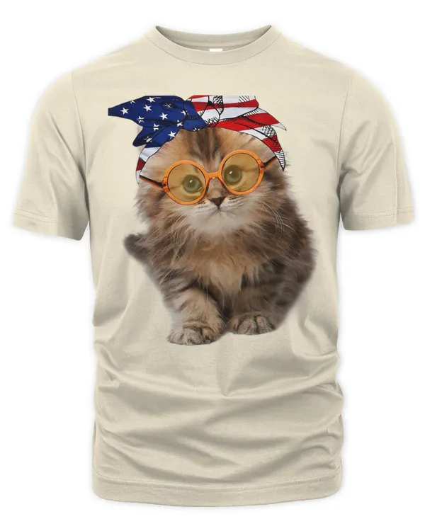 Men's Premium Tshirt