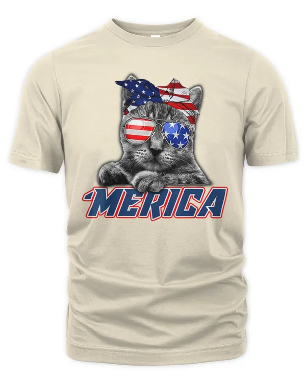 Men's Premium Tshirt