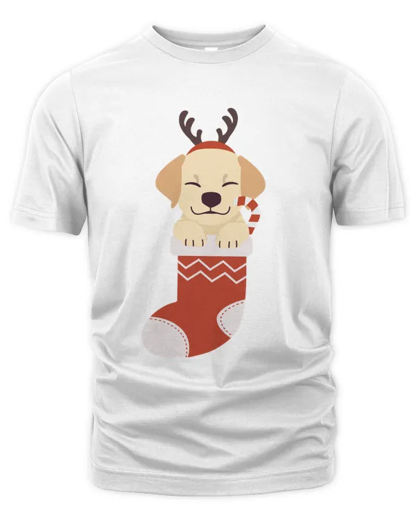 Labrador Retriever In Christmas Sock Dog