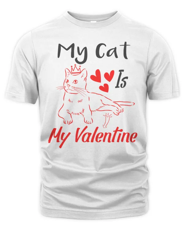 Men's Premium Tshirt