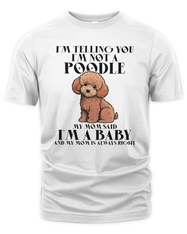 Men's Premium Tshirt