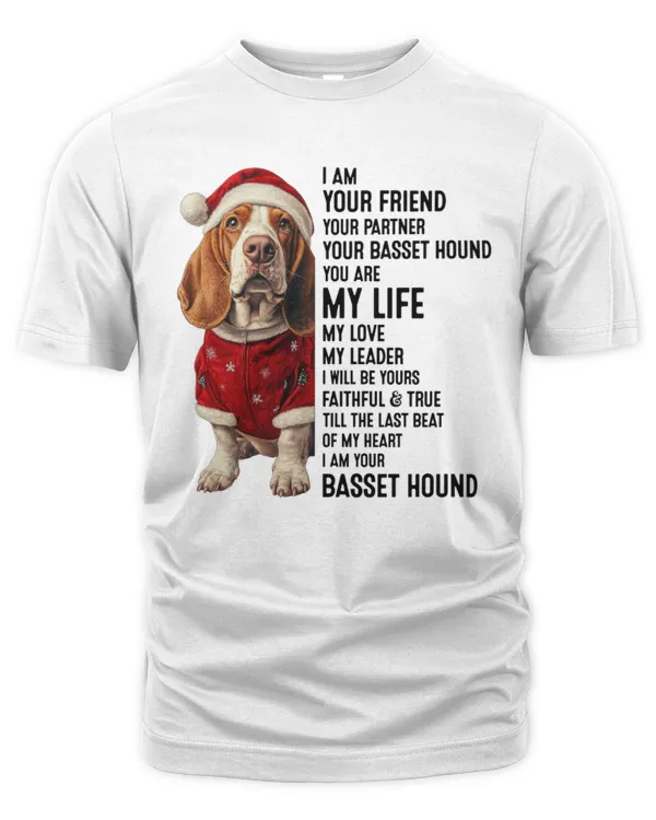 Men's Premium Tshirt