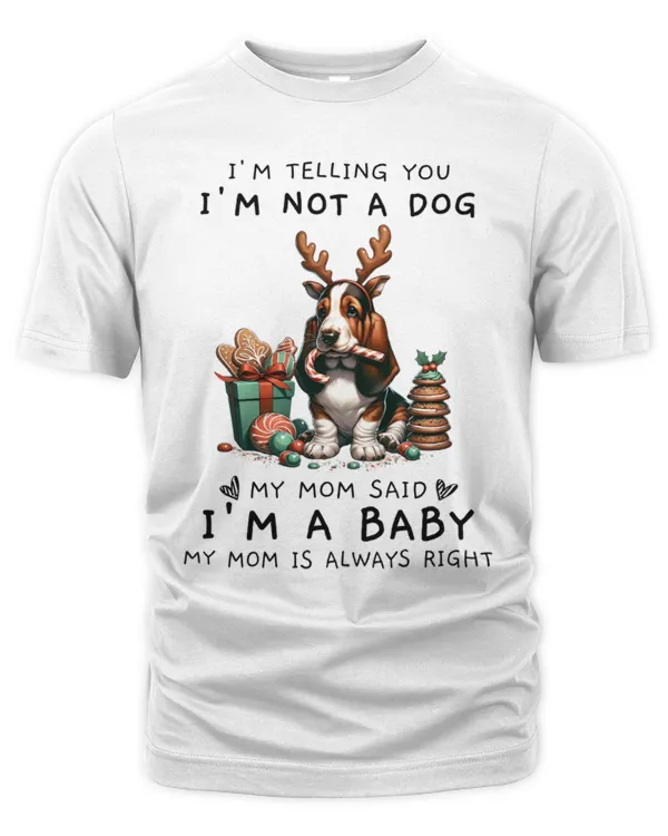 Men's Premium Tshirt
