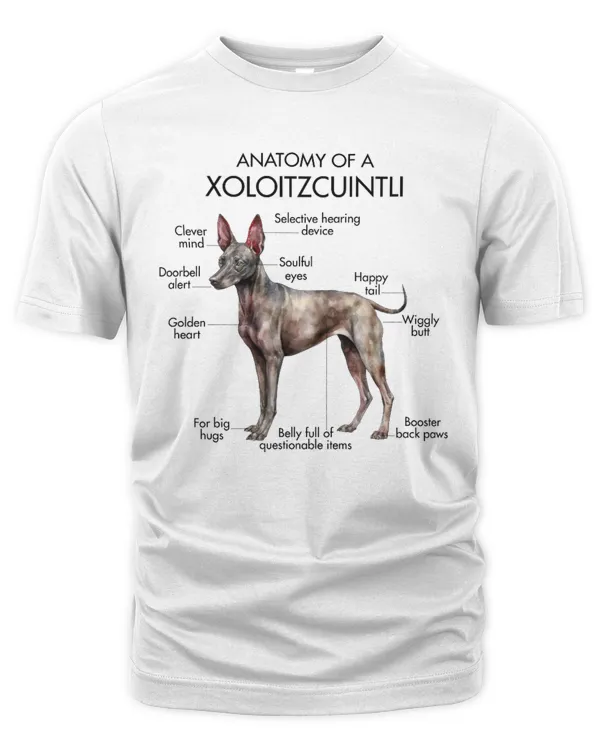 Men's Premium Tshirt