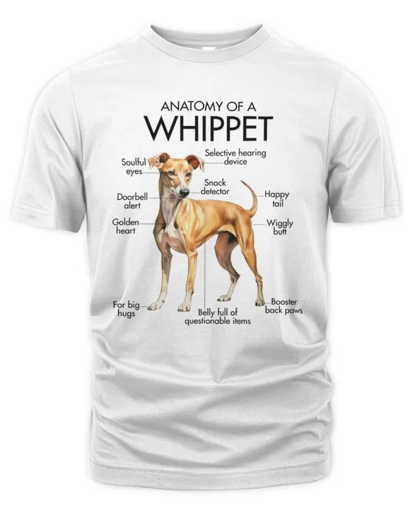 Men's Premium Tshirt