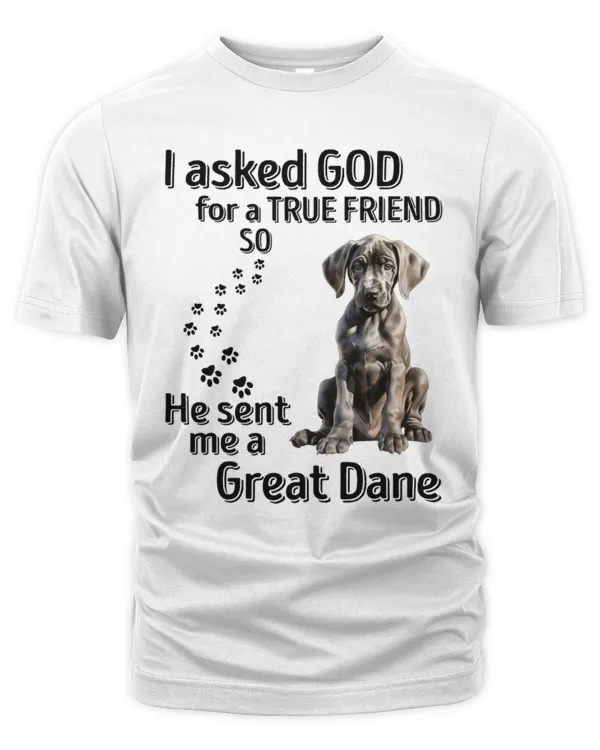 Men's Premium Tshirt