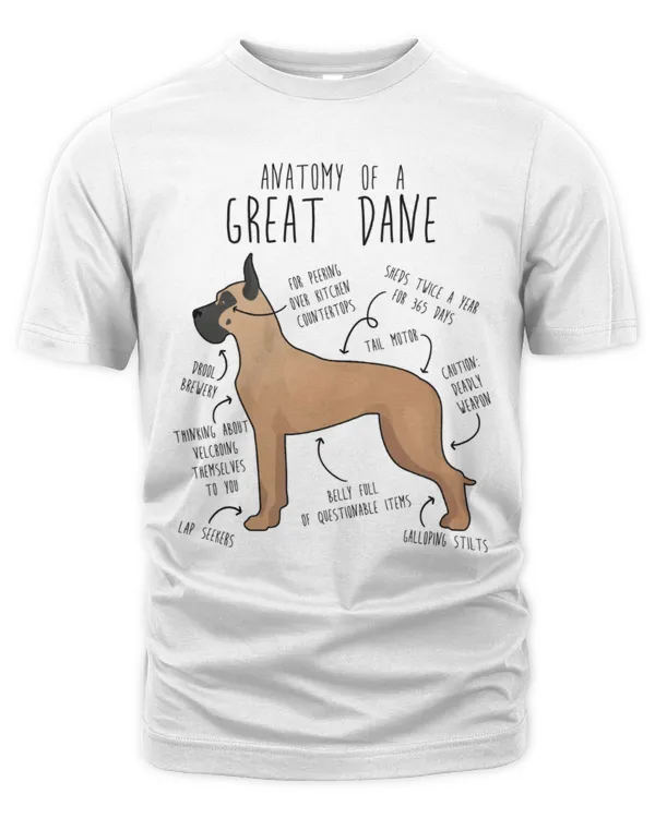 Men's Premium Tshirt